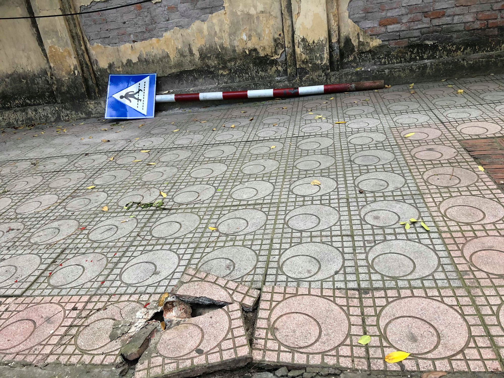 Hà Nội: Nghi say nắng, cô gái tự lao xe vào cột biển báo giao thông được 2 nữ du khách nước ngoài sơ cứu